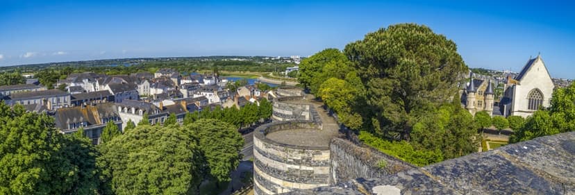 Vue panoramique du château d'Angers au bord de la Maine